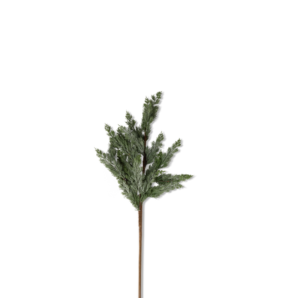 Cedar Branch