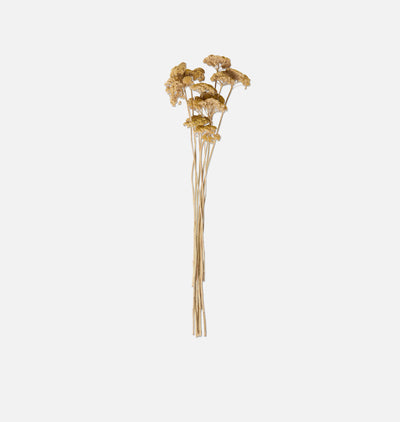 Dried Yarrow Bunch