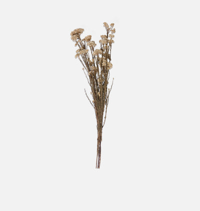 Dried Rice Flower Bunch White