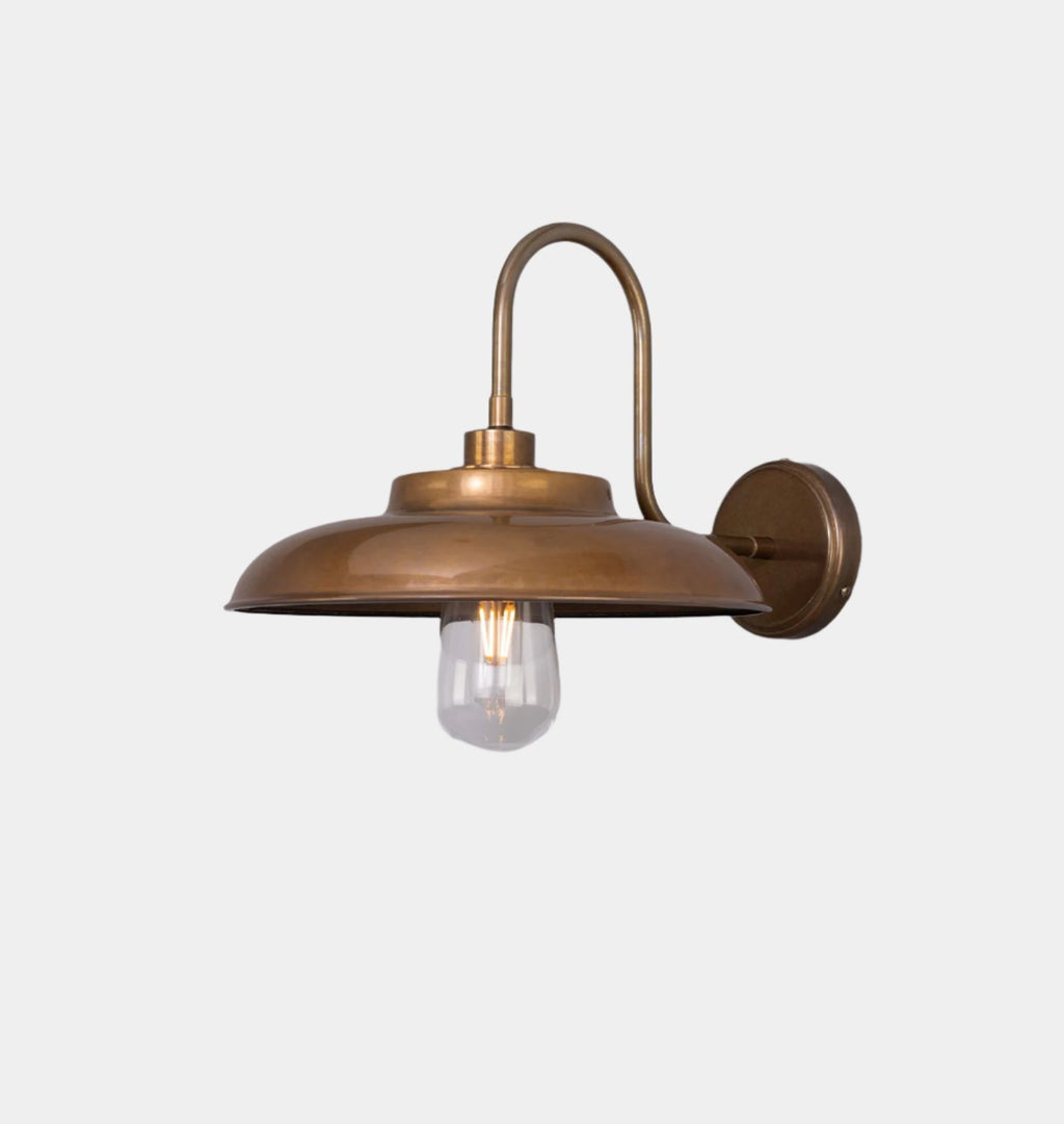 Darya Swan Neck Wall Light Antique Brass
