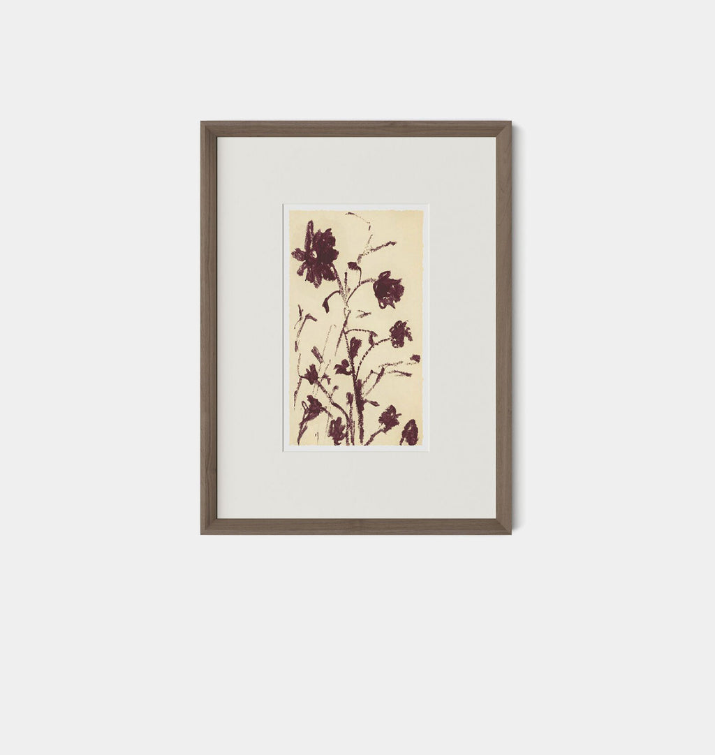Meadow Rue No.1 by Shaina Page Framed Print Walnut