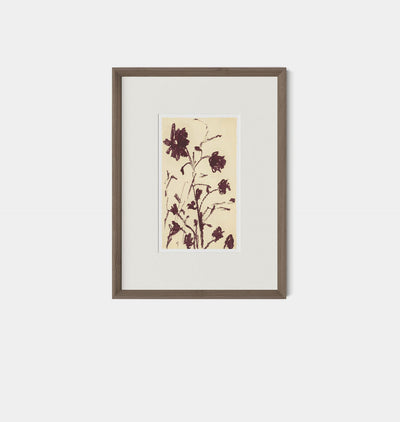 Meadow Rue No.1 by Shaina Page Framed Print Walnut