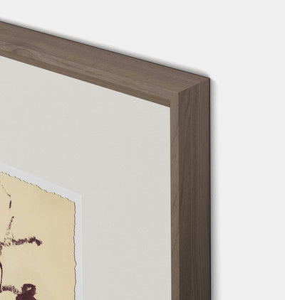 Meadow Rue No.1 by Shaina Page Framed Print Walnut