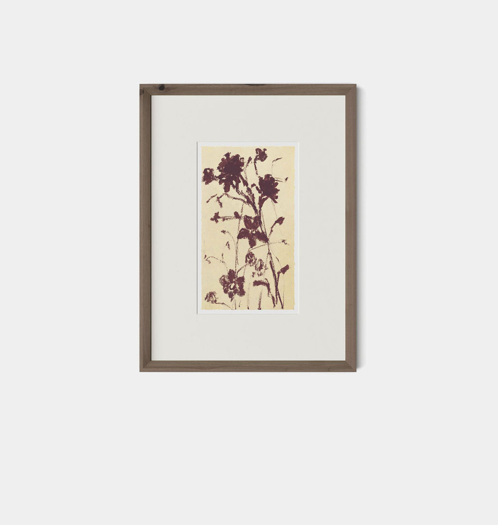 Meadow Rue No.2 by Shaina Page Framed Print Walnut