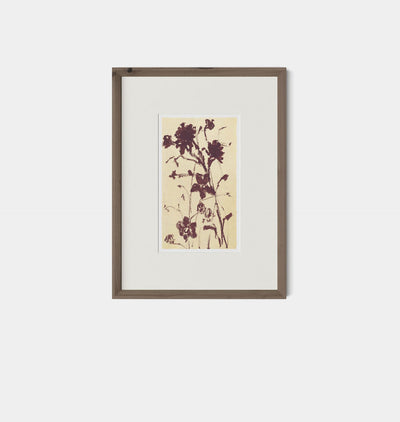Meadow Rue No.2 by Shaina Page Framed Print Walnut
