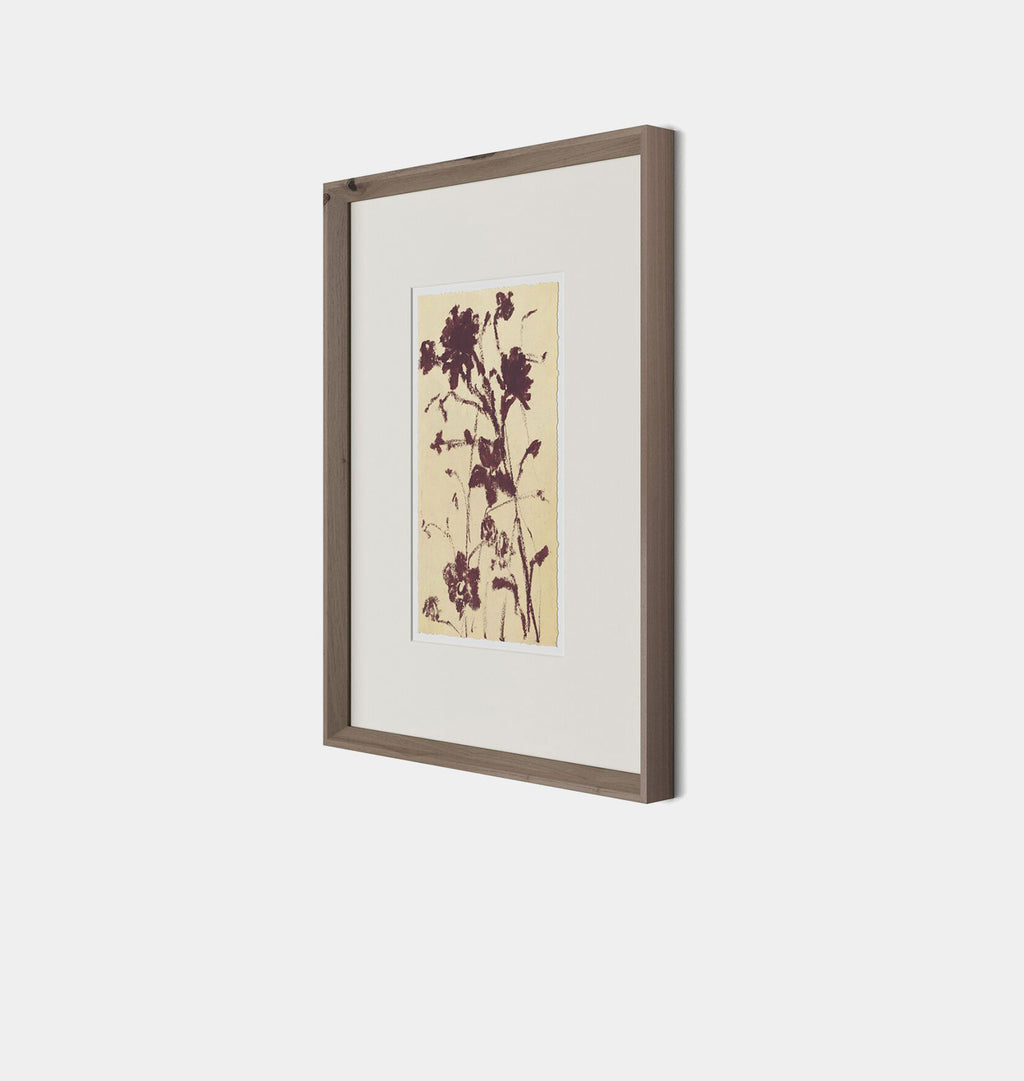 Meadow Rue No.2 by Shaina Page Framed Print Walnut
