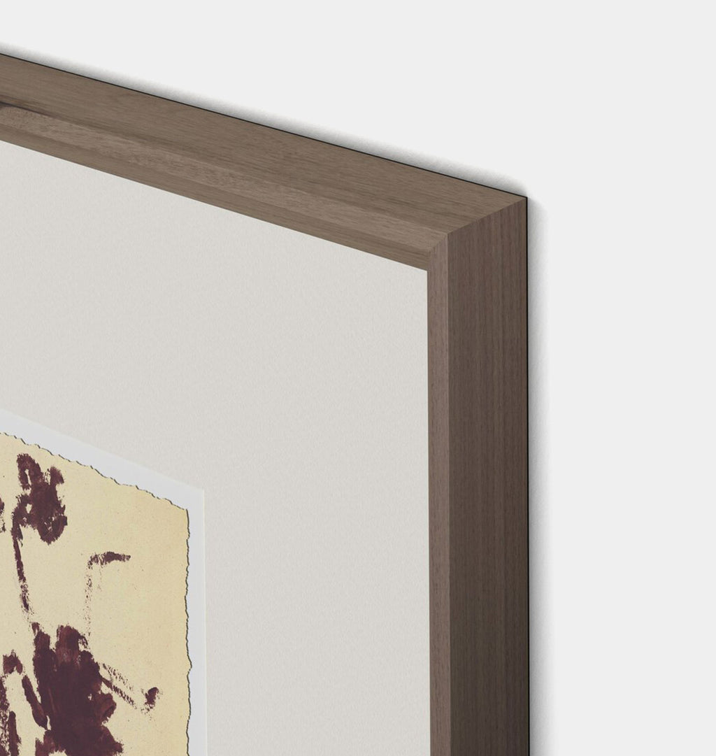 Meadow Rue No.2 by Shaina Page Framed Print Walnut