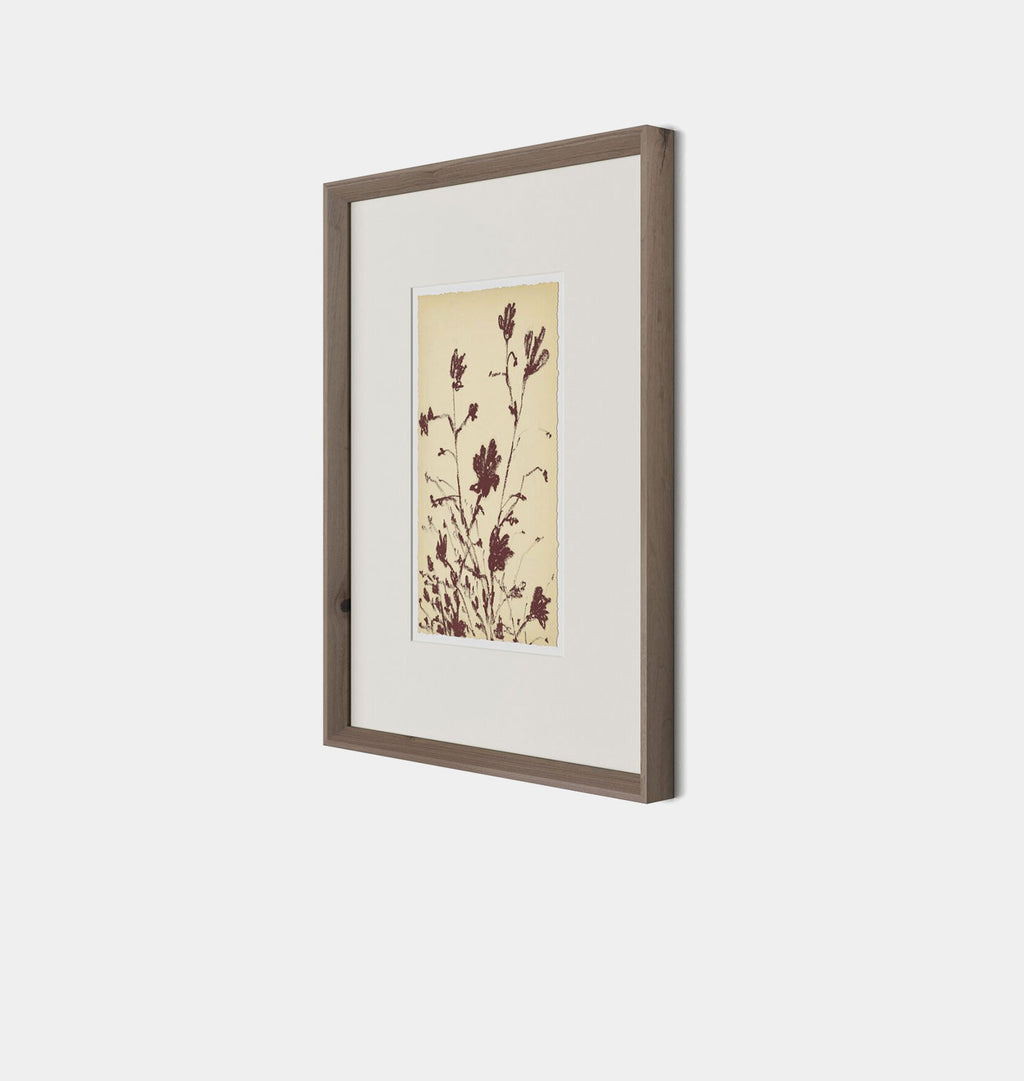 Meadow Rue No.3 by Shaina Page Framed Print Walnut