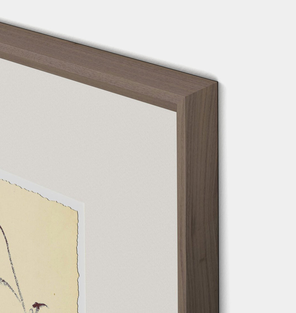 Meadow Rue No.4 by Shaina Page Framed Print Walnut
