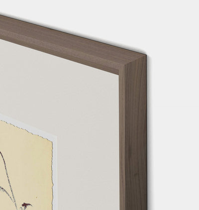 Meadow Rue No.4 by Shaina Page Framed Print Walnut