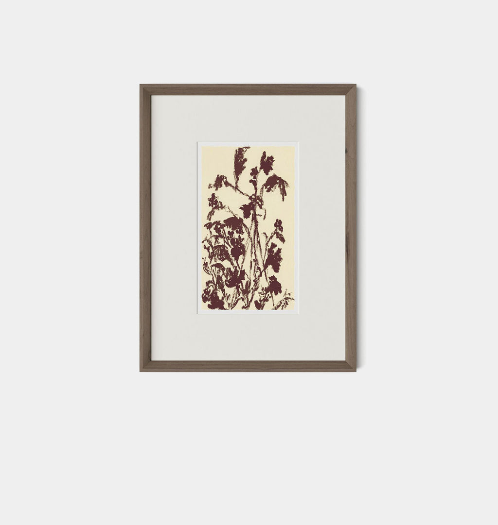 Meadow Rue No.5 by Shaina Page Framed Print Walnut
