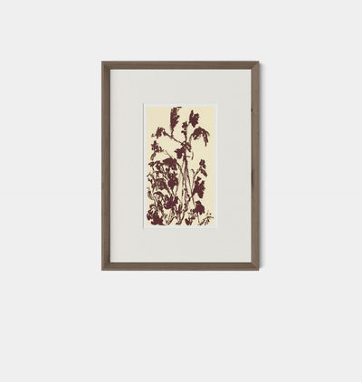 Meadow Rue No.5 by Shaina Page Framed Print Walnut