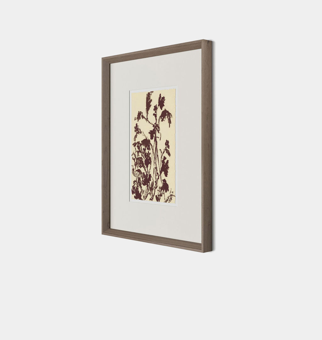 Meadow Rue No.5 by Shaina Page Framed Print Walnut