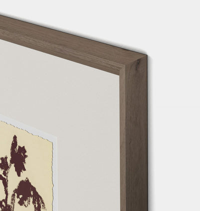 Meadow Rue No.5 by Shaina Page Framed Print Walnut