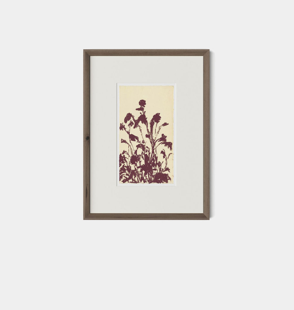 Meadow Rue No.6 by Shaina Page Framed Print Walnut