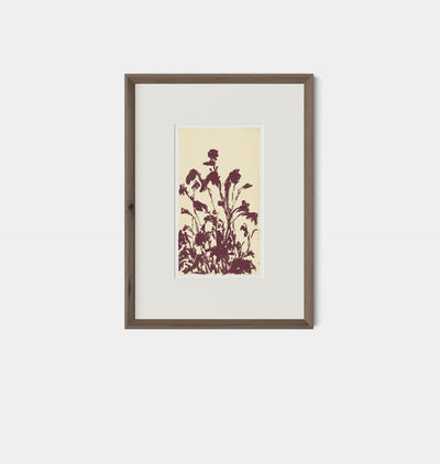 Meadow Rue No.6 by Shaina Page Framed Print Walnut