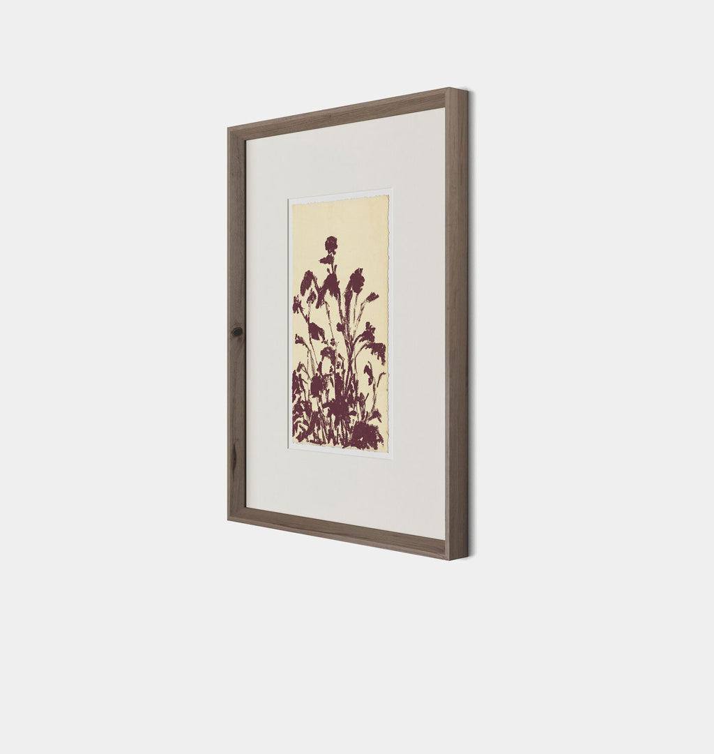 Meadow Rue No.6 by Shaina Page Framed Print Walnut