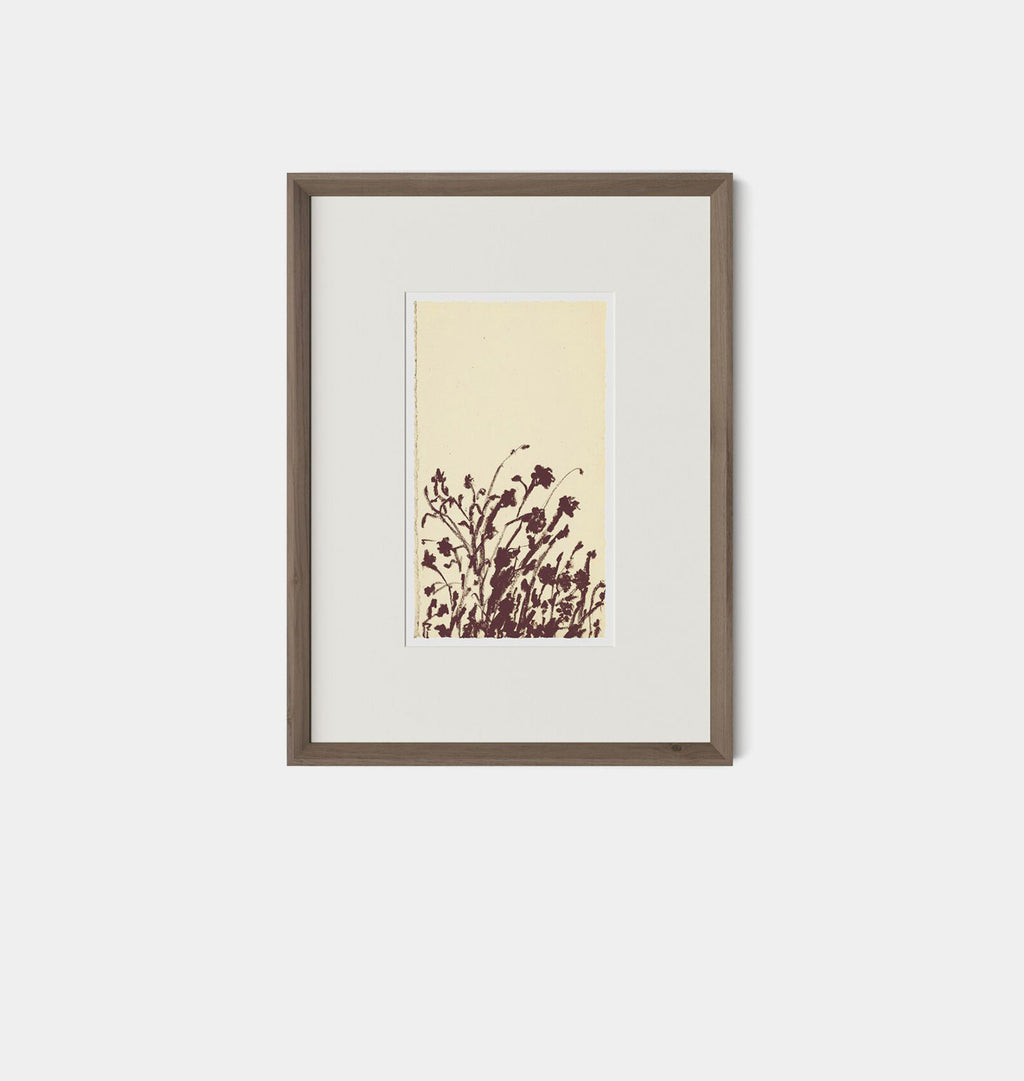 Meadow Rue No.7 by Shaina Page Framed Print Walnut