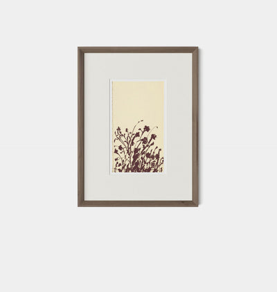 Meadow Rue No.7 by Shaina Page Framed Print Walnut