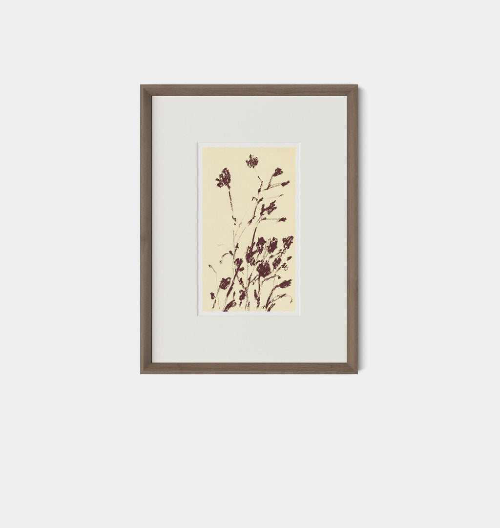 Meadow Rue No.8 by Shaina Page Framed Print Walnut