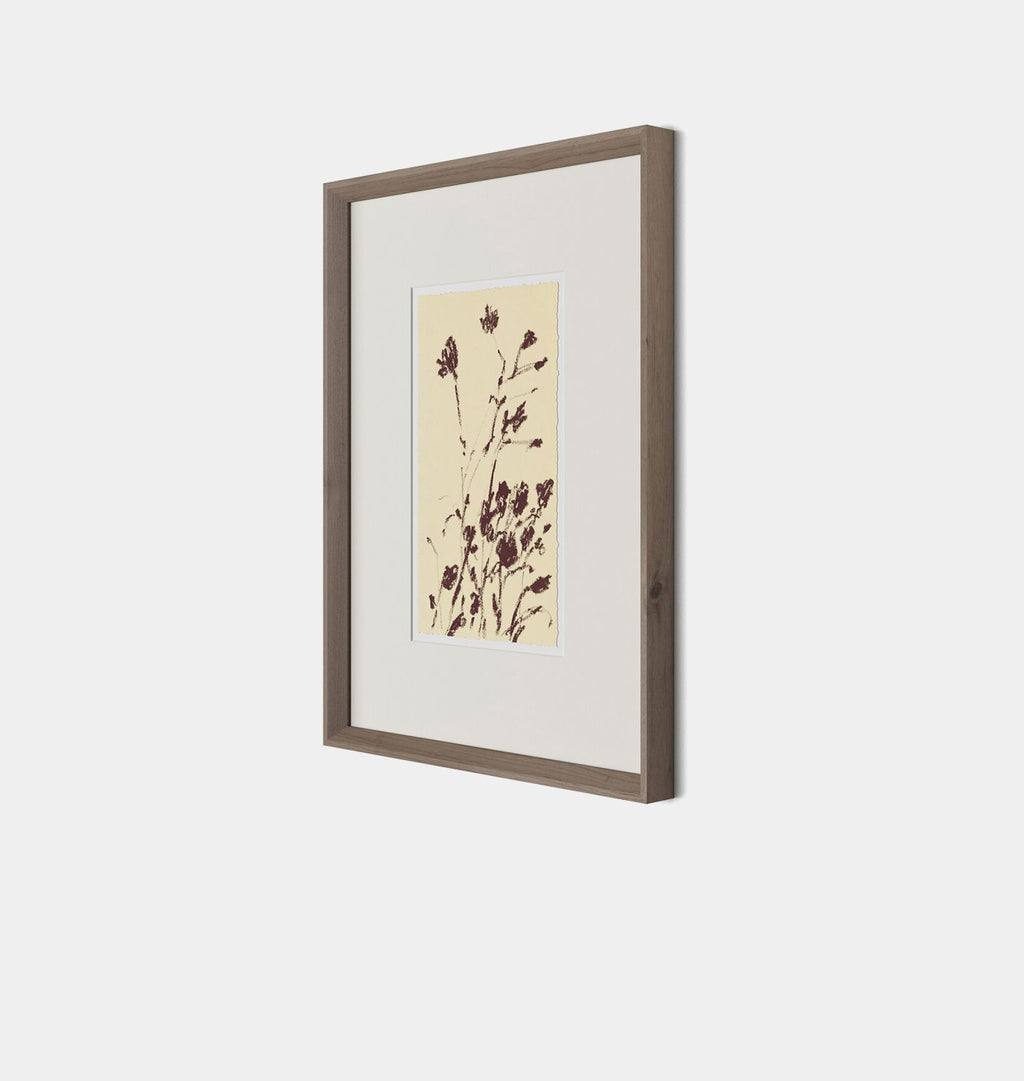Meadow Rue No.8 by Shaina Page Framed Print Walnut