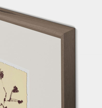 Meadow Rue No.8 by Shaina Page Framed Print Walnut