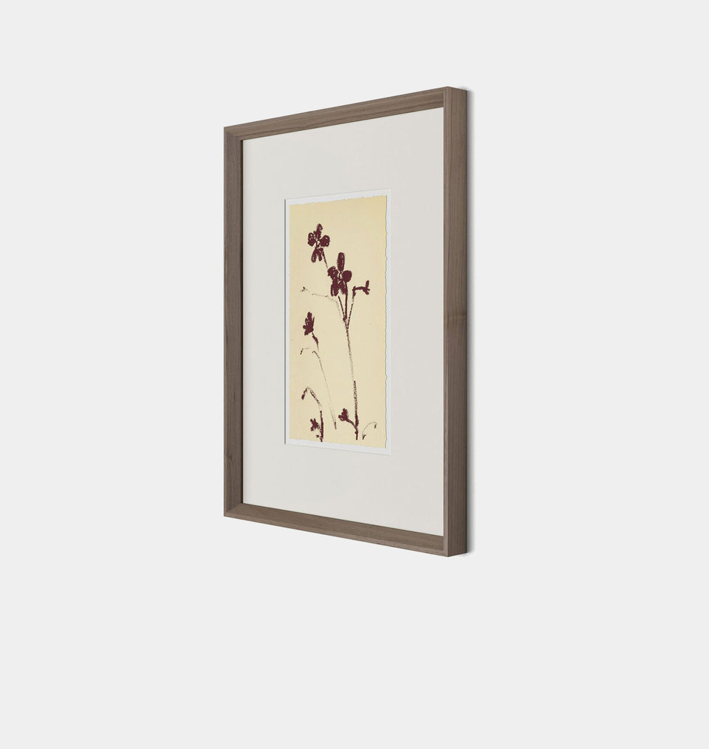 Meadow Rue No.9 by Shaina Page Framed Print Walnut