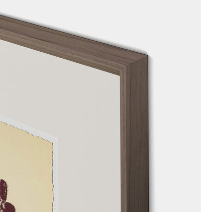 Meadow Rue No.9 by Shaina Page Framed Print Walnut