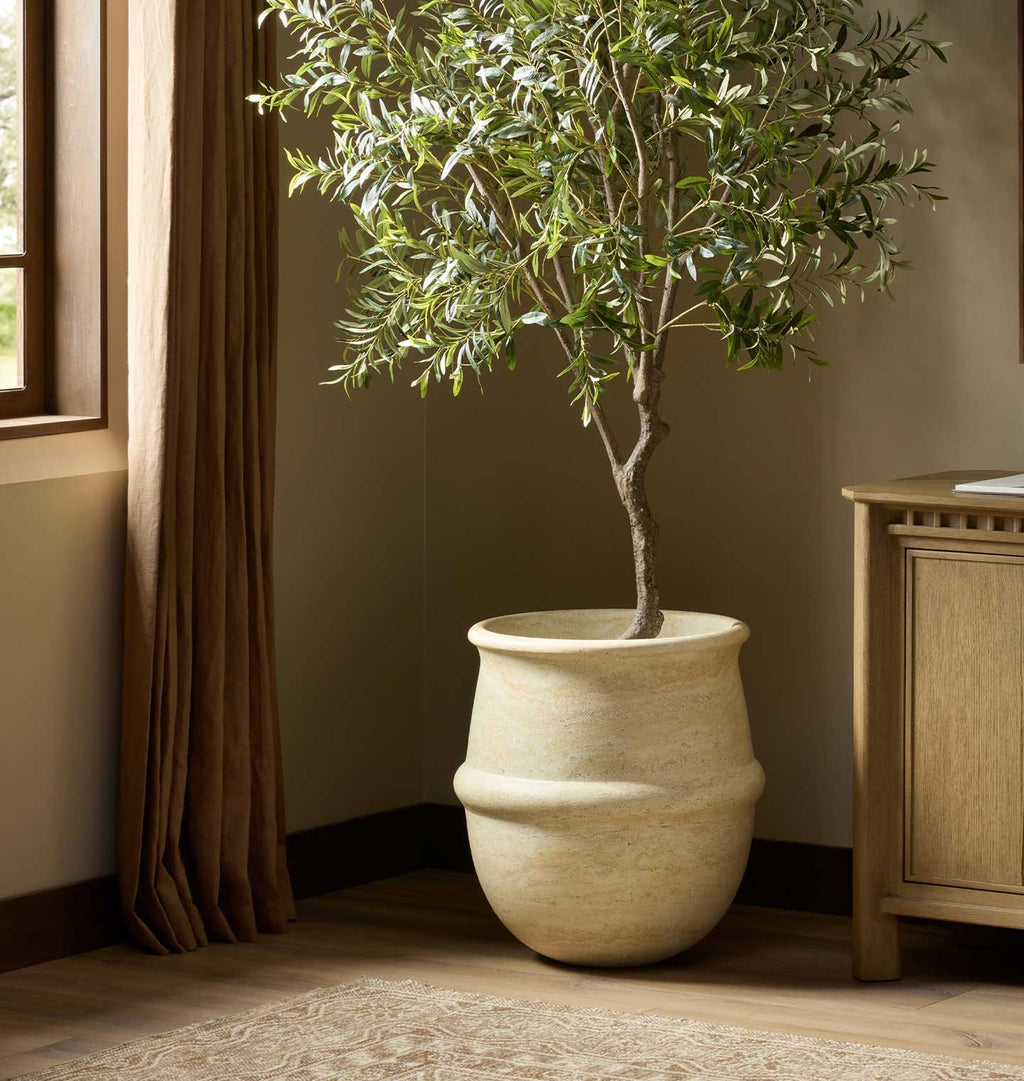 A potted olive tree with green leaves in a textured beige ceramic pot, placed in a warm-toned room corner next to a window with brown curtains and a wooden cabinet.