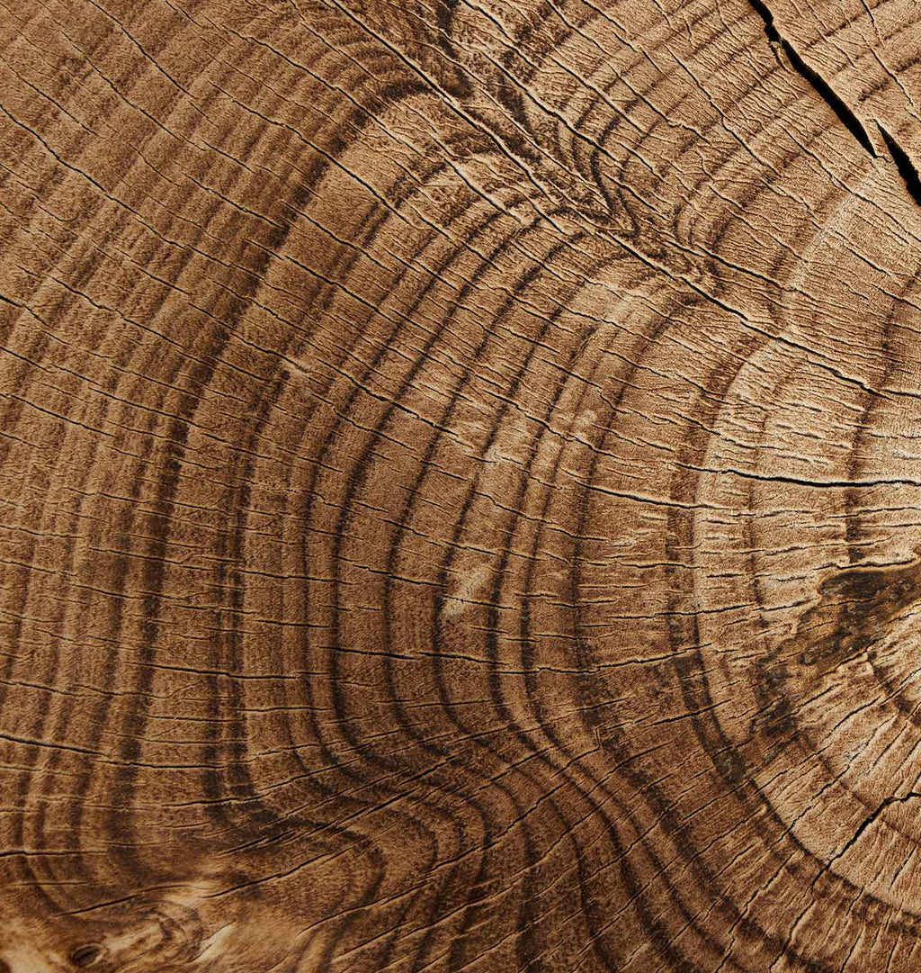 Montero Wood Bowl Burnt Reclaimed