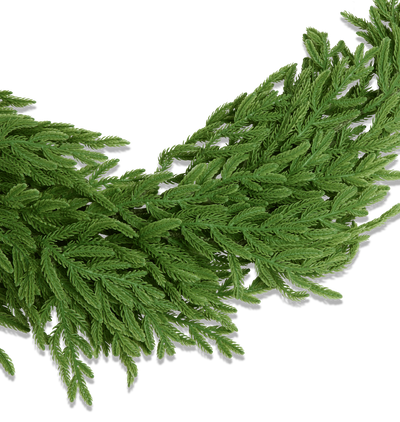 Norfolk Garland