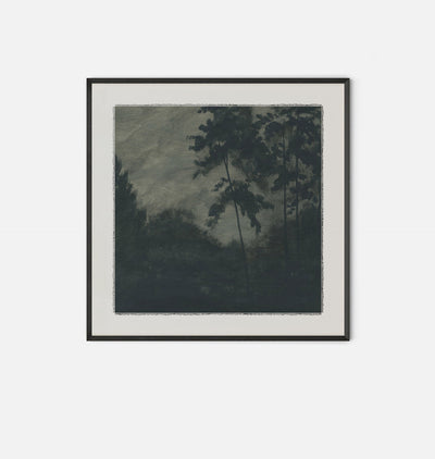 Quiet Dusk Framed Print Black Pine