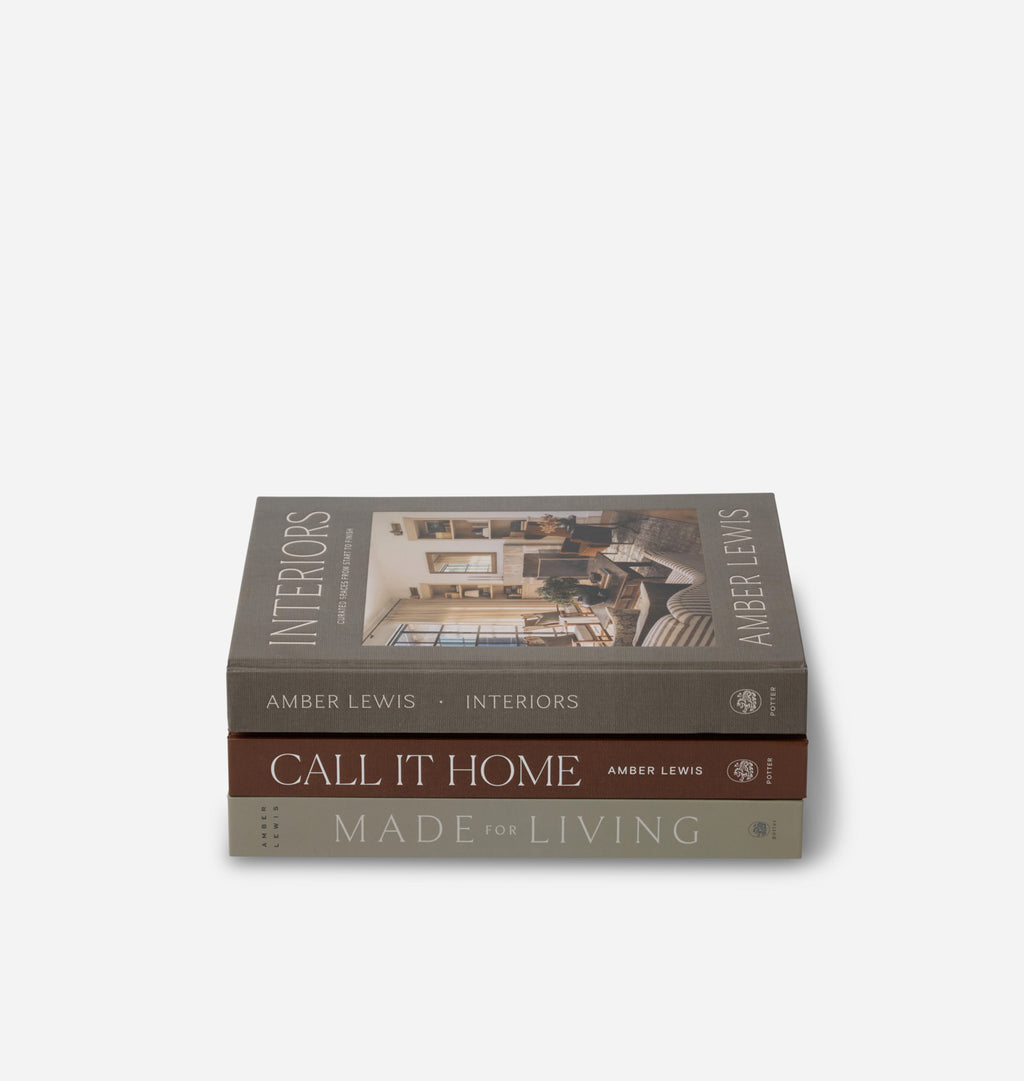 Amber Lewis Book Bundle