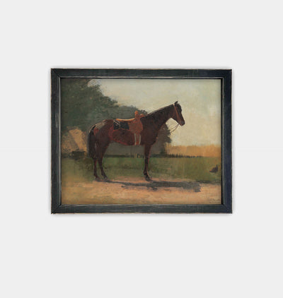 Saddle Horse in Farmyard Framed Print Black