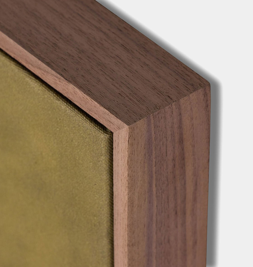 Shaded Framed Print