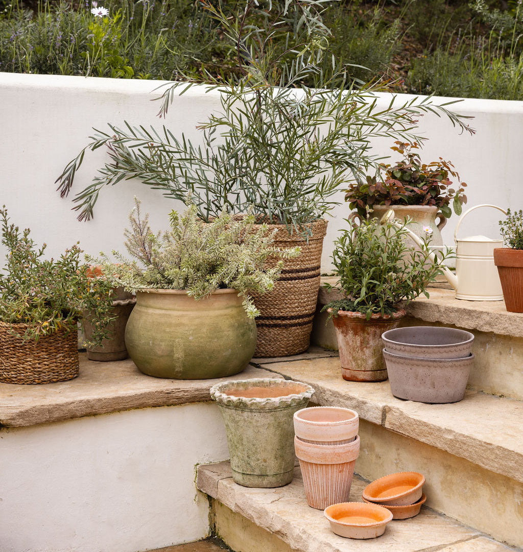 Simona Planter