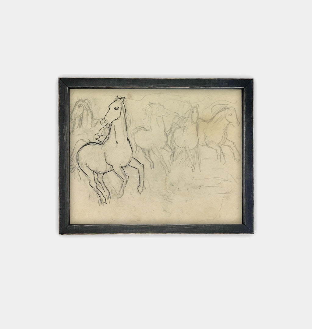 Sketched Horses Framed Print Black