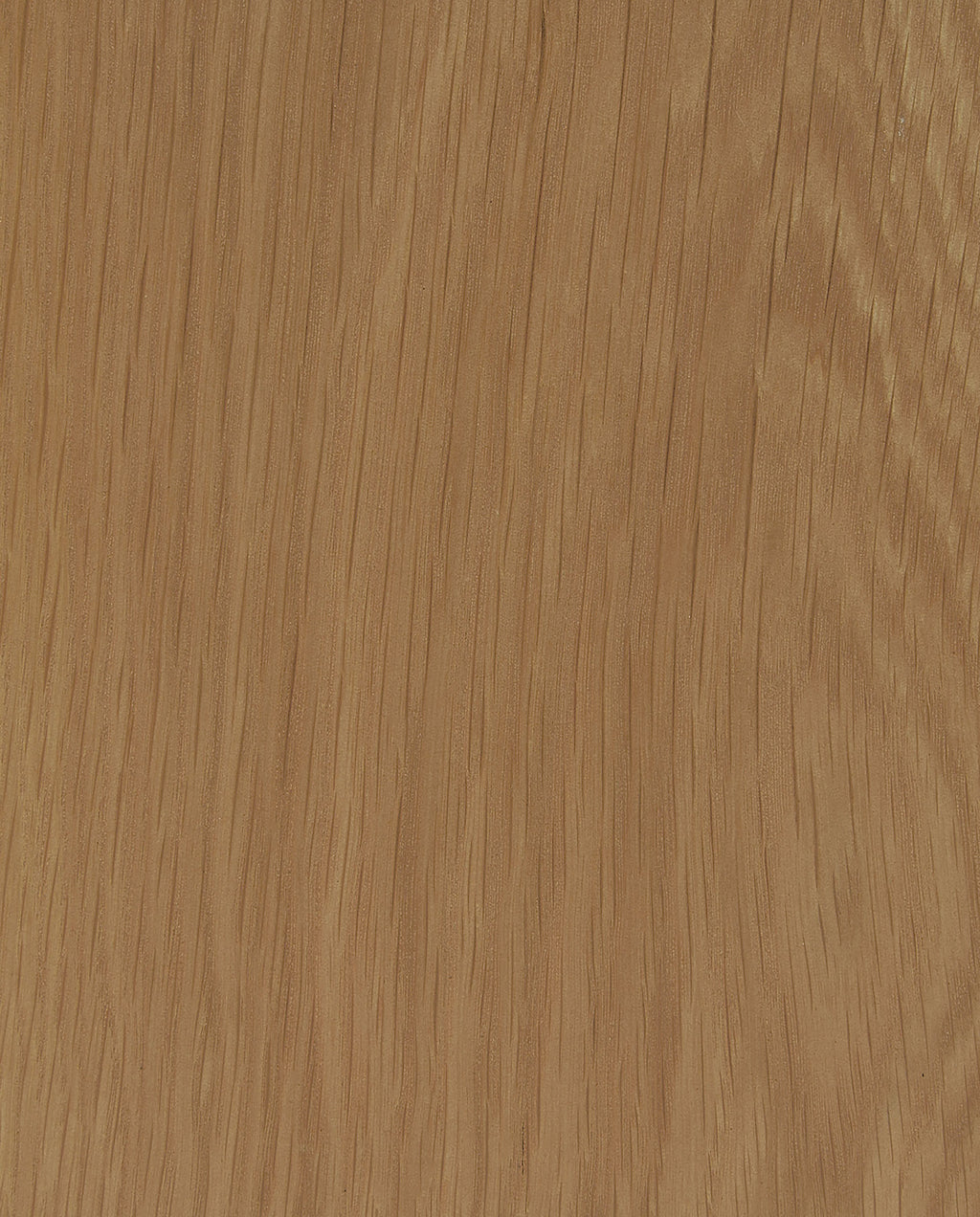Spring Oak Sample