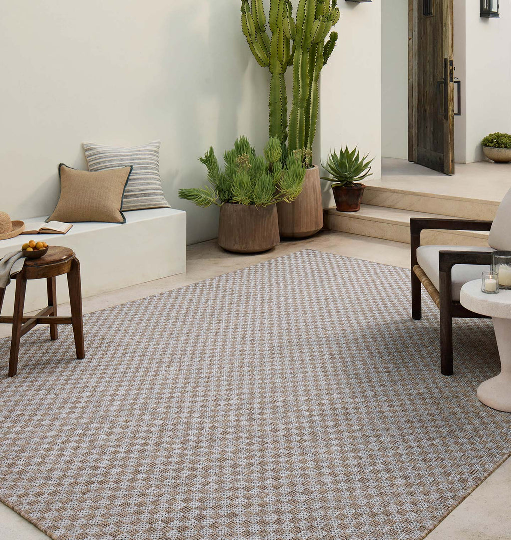 Topanga TOP-02 Natural / Silver Area Rug