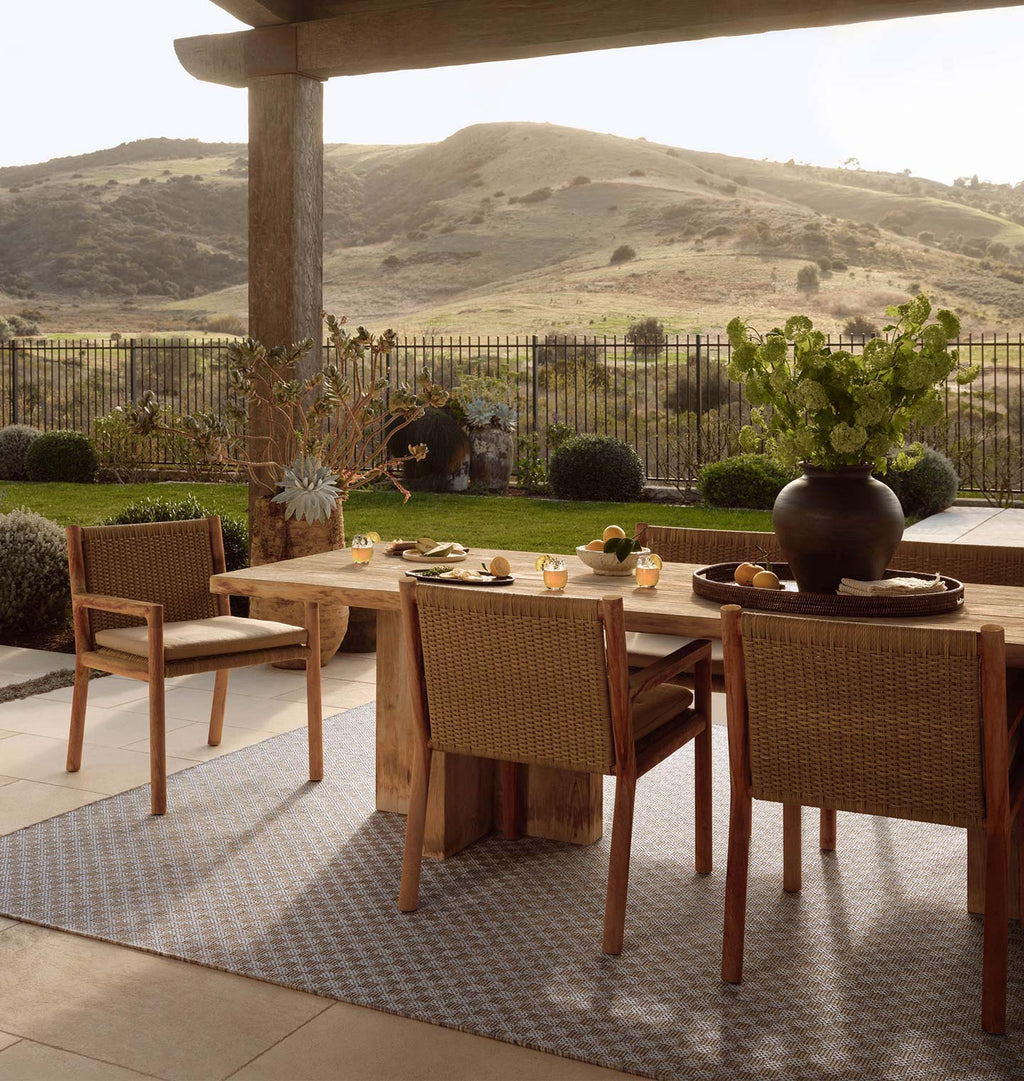 Topanga TOP-02 Natural / Silver Area Rug