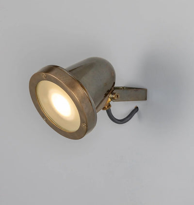 Thames Adjustable Outdoor Spotlight Antique Brass