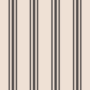 Black Venetian Stripe