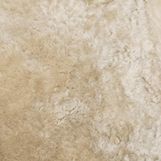 Camel Shearling