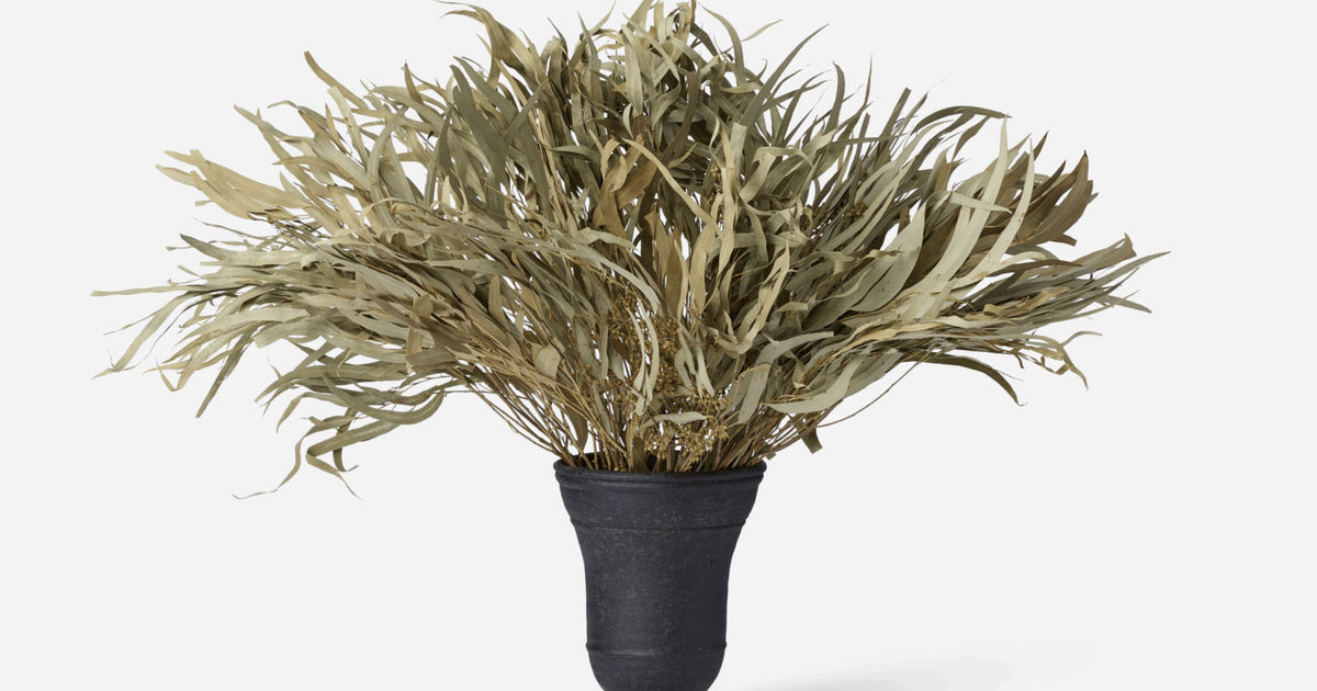Dried Eucalyptus Bundle in Small Bergen Vase | Shoppe Amber Lewis ...