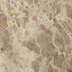Fossil Marble