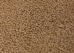 Maple Shearling