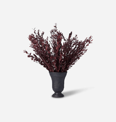 Dried Marri Bundle in Small Bergen Vase