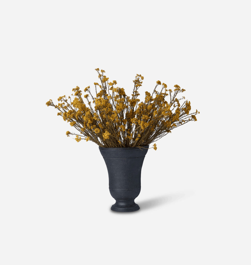 Dried Yellow Rice Flower Bundle in Large Bergen Vase