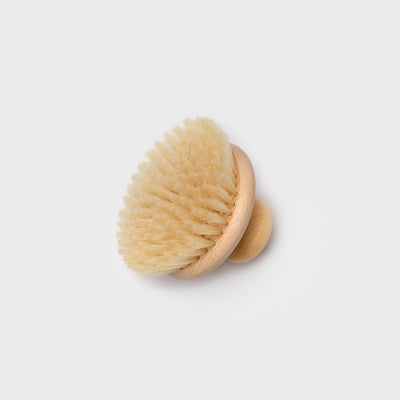 Body Brush - Bath – Shoppe Amber Interiors