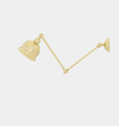 Dale Adjustable Wall Light